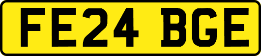 FE24BGE