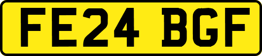 FE24BGF