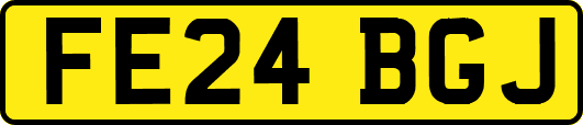 FE24BGJ