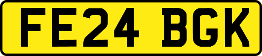 FE24BGK