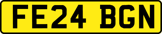 FE24BGN