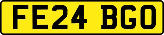 FE24BGO