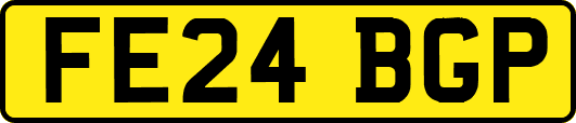 FE24BGP