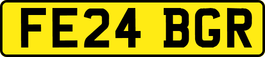 FE24BGR
