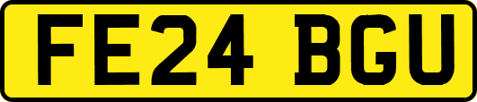 FE24BGU