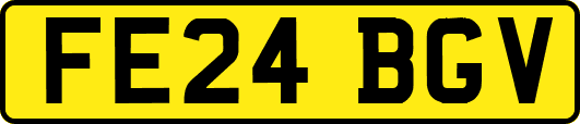 FE24BGV