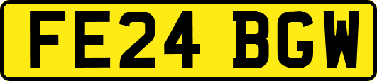 FE24BGW