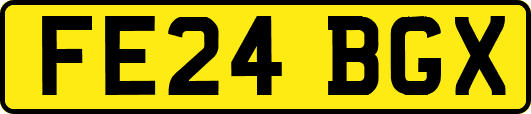 FE24BGX