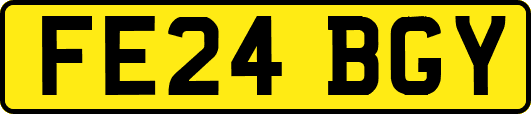 FE24BGY
