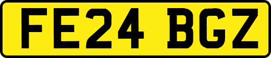 FE24BGZ