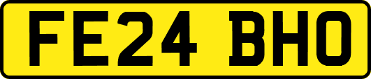 FE24BHO