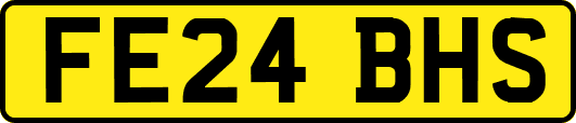 FE24BHS