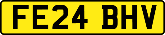 FE24BHV