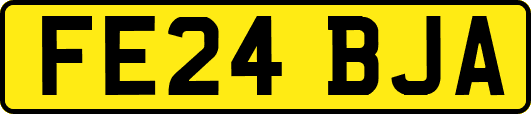 FE24BJA