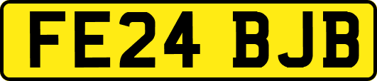 FE24BJB
