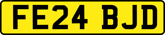 FE24BJD