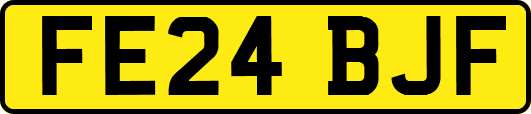 FE24BJF