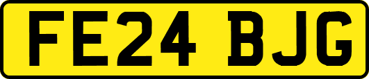 FE24BJG