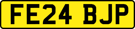 FE24BJP