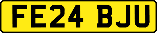 FE24BJU