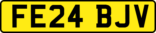 FE24BJV