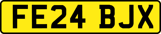 FE24BJX