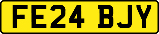 FE24BJY