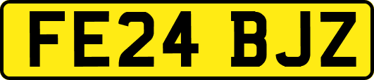 FE24BJZ