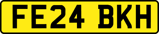 FE24BKH