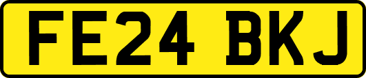 FE24BKJ