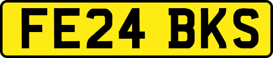 FE24BKS