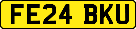 FE24BKU