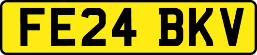 FE24BKV
