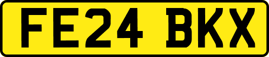 FE24BKX