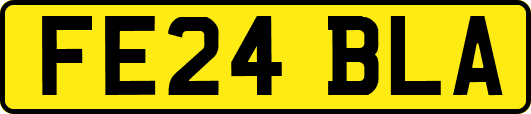 FE24BLA