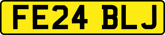 FE24BLJ