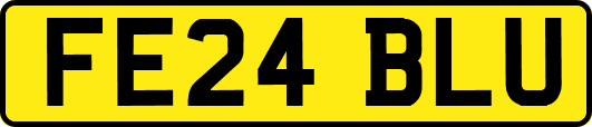 FE24BLU