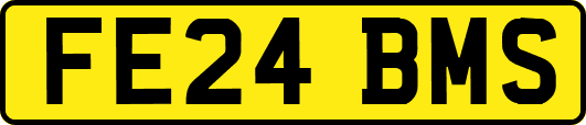 FE24BMS