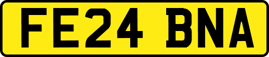 FE24BNA