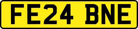 FE24BNE