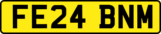 FE24BNM