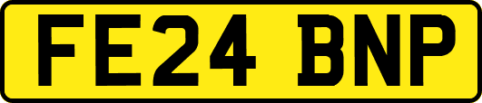 FE24BNP