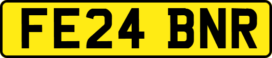 FE24BNR