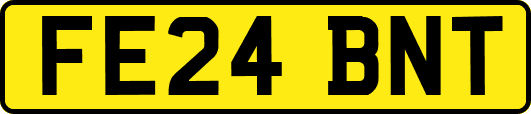 FE24BNT