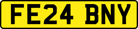 FE24BNY