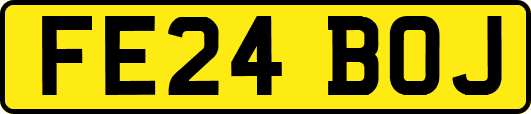 FE24BOJ
