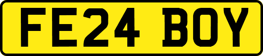 FE24BOY