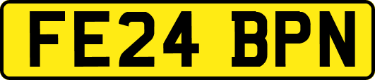 FE24BPN
