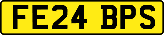 FE24BPS