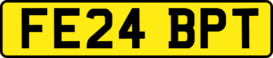 FE24BPT